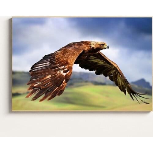 Eagle Poster Animals Print - Modern Decoration Home Wall Art Pictures Cuadros Decoracion Salon Wall Decor