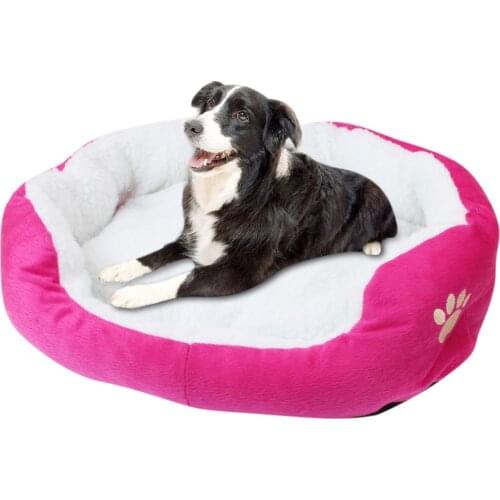 Transer Products For Dogs