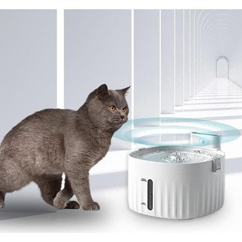 Dreamburgh Bowls For Cats