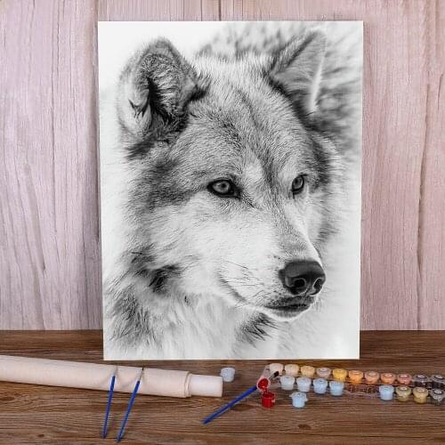 Wolf Cartoon Animal Painting By Numbers Set Acrylic Paints 50*70 Canvas Pictures Home Decoration Adults Handicraft Drawing