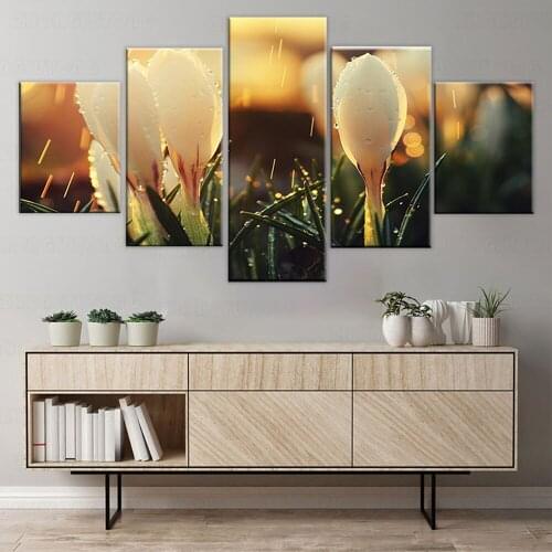 5 Pieces Modular Canvas Painting Wall Art Delicate background beautiful lily flowers Paintings Modern Wall Picture Frame Artwork