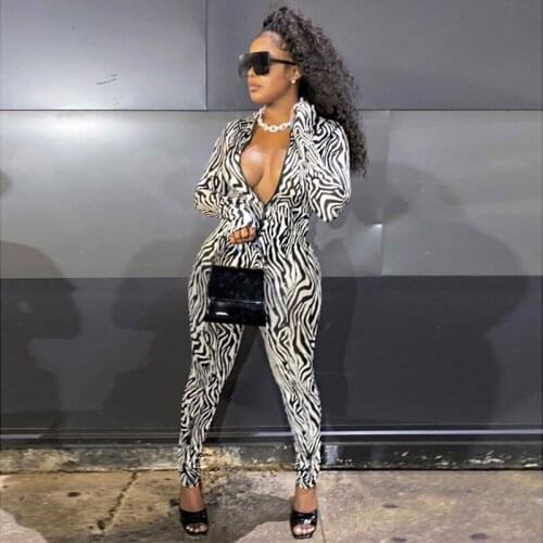 Zebra Print Mesh Zip Up Sexy Jumpsuit Autumn Winter Women Fashion Streetwear Outfits Stretchy Romper 2020