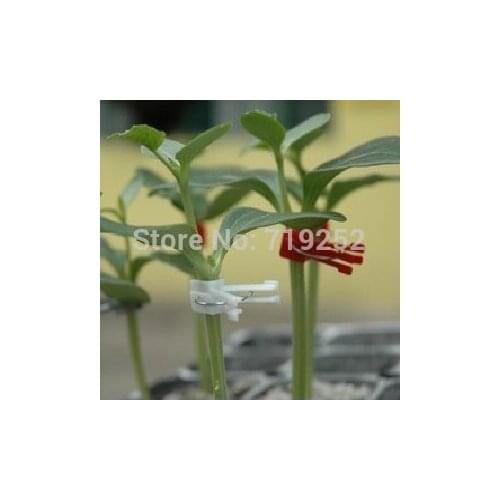 50pcs Good Quality Plant Grafting Engraft Clips Tomato Flower Gardening Durable Vegetable Vine Watermelon Grape Plastic Clip