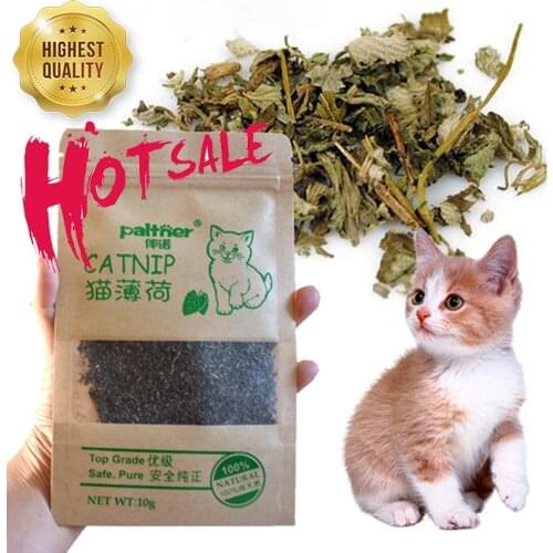 Cat Toy Organic 100% Natural Premium Catnip Cattle Grass 10g Menthol Flavor Funny Cat Toy Interactive Cat Non-toxic Clean Teeth
