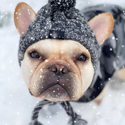 Winter Pet Dog Hat Cap Christmas Warm Windproof Pet Hats Woolen Dog Accessories For Small Medium Dogs Hat French Bulldog Outdoor