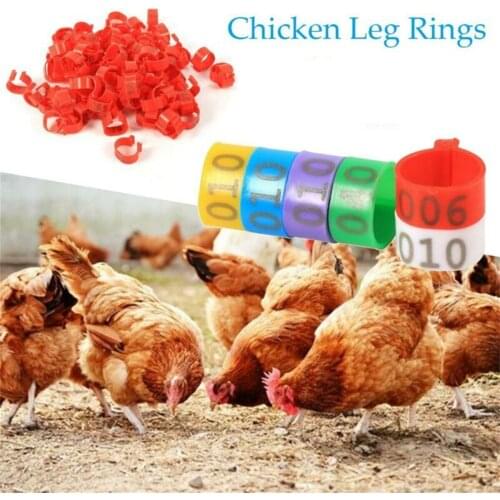 100PCS 16mm 001-100 Numbered Plastic Poultry Ducks Chicken Goose Leg Bands Rings
