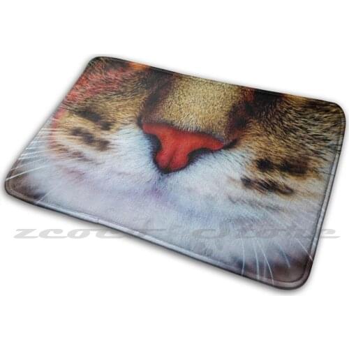 Kitty Carpet Water Absorb Non-Slip Door Mat Cat David Bowie Bowie Tribute Kitty Neko Glam Glam 70S 80S England Ziggy Ziggy