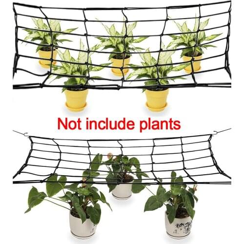 1pc Garden Plants Climbing Net Plastic & Nylon Net Morning Glory Flower Vine Netting Support Net Grow Net Holder Garden Netting
