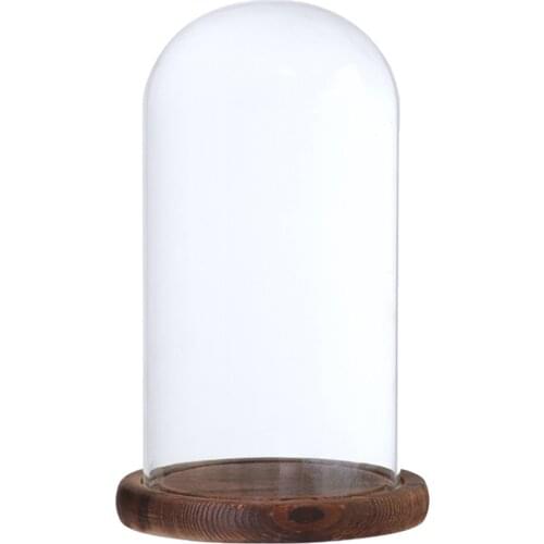 2Pcs 10x25cm Glass Landscape Flower Container LED Light Ornament Display Stand Cover Dome with Wooden Base Brown