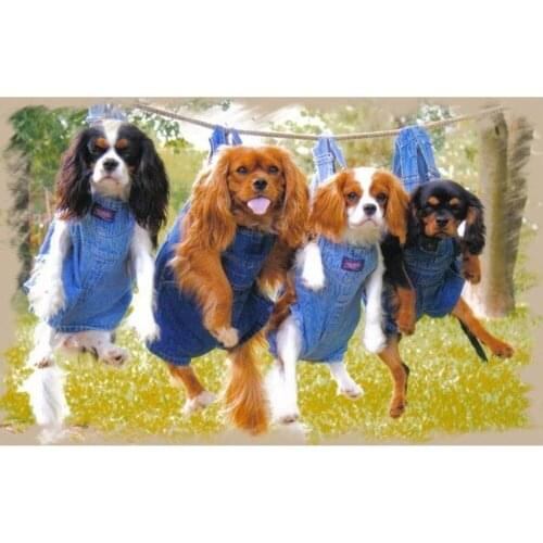 Animal Dog DIY Embroidery Cross Stitch Kits Craft Needlework Set Cotton Thread Printed Canvas Home Decoration Hot Sell On Sale