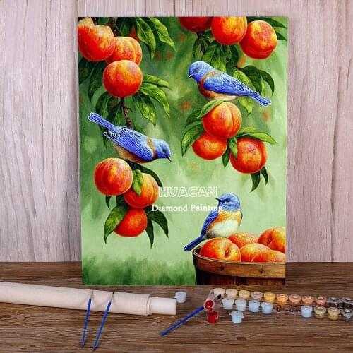 Bird Animal DIY Paint By Numbers Package Acrylic Paints 40*50 Paiting By Numbers New Design For Kids Handicraft