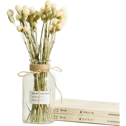 Glass Vase Flower Pot Flower Basket Flower Vase Decoration Home Nordic Decoration Dried Flower Hydroponic Small Brown Bottle