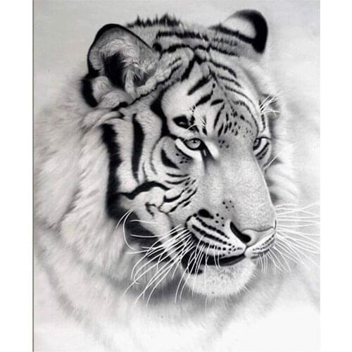 DIY 5D Full Diamond Painting Cross Stitch Painting White tiger Diamond Embroidery Needlework Patterns Rhinestone kits