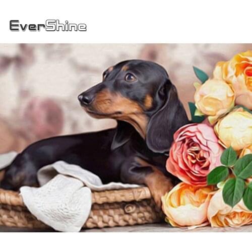 Evershine Diamond Embroidery Dog Flower Full Square Diamond Painting Animal Cross Stitch Kit Diamond Mosaic Full Set Decoration
