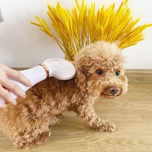 300W Pet Hair Dryer Portable Dog Hair Dryer Home Pet Grooming Cat Hair Comb Dog Fur Blower Adjustable Temperature Pet Hair Comb