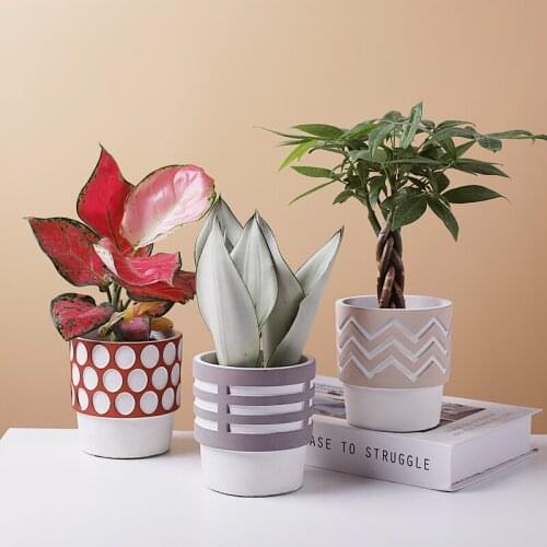 Nordic Cement flower pot home decor Hand-carved Hand carved orchid pots Garden plant bonsai pot balcony decorations macetero New