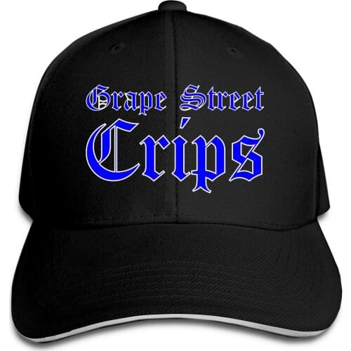 Grape Street Crips Lightweight Sweatshirt fishing hip hop hats R346 Cute Mens Womens cap