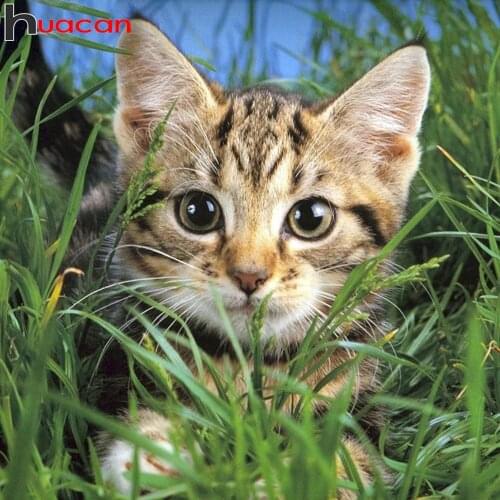 Huacan 5d Diamond Painting Mosaic Cat Full Square/round Diamond Art Embroidery Animal Grass Cross Stitch Room Decor