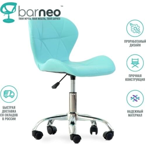 BarneoPro Hairdressing Chairs