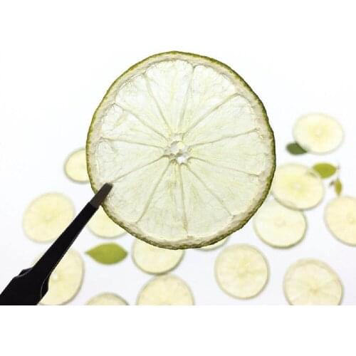 5pcs Pressed Dried Green Lemon Slices Fruit Plant Herbarium For Jewelry Postcard Invitation Card Phone Case Bookmark Making DIY