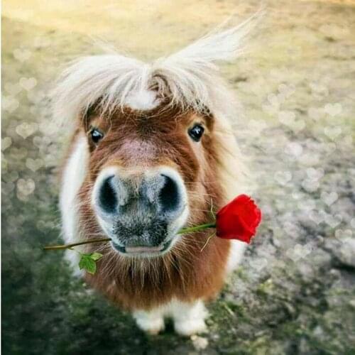 NEW Full 5D diy Daimond Painting Cross-stitch A Lovely Horse 3D Diamond Painting Full Round Rhinestones Paintings Embroidery