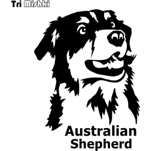 Tri Mishki HZX414 20*15cm Australian Shepherd on board car sticker funny auto car stickers