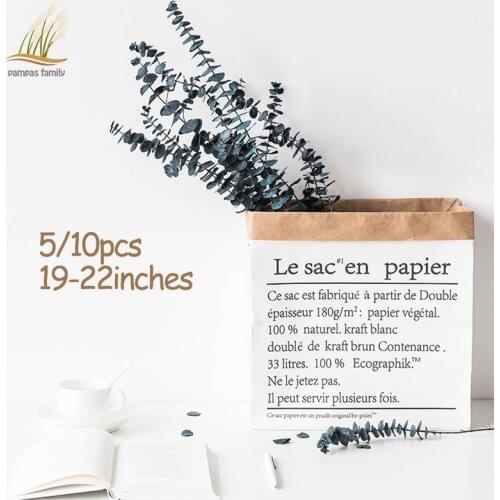 19-22‘’/5PCS Real natural dried Eucalyptus bouquet fresh Eucalyptus branches Dried immortal flowers leaves Wedding home decor