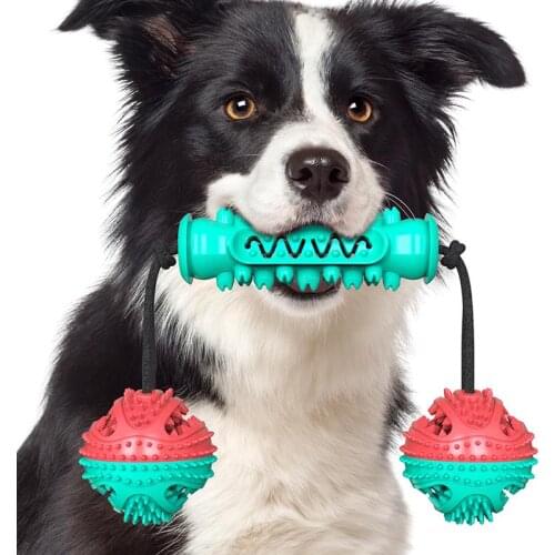 Interactive Dog Toys Puppy Molar Bite Resistant Toy Rubber Convex Dog Chewing Teeth Cleaning Toy Pet Dogs Training Supplies