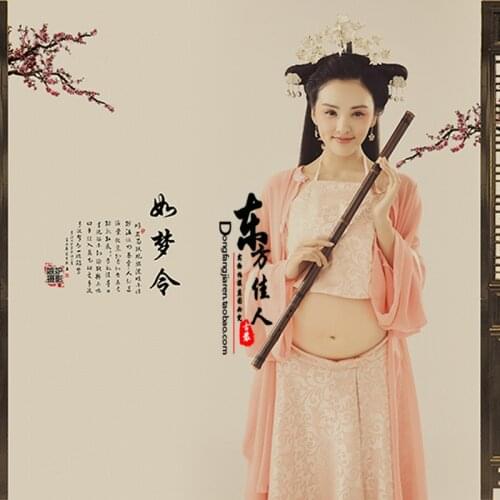 Ru Meng Ling Personality Photography Costume for Pregnant Mummy Thematic Costume Hanfu
