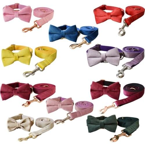 Fannelette Dog Collar Traction Rope Bow tie Pitbull Personalized Velvet Engraved Pet Name Retailing Supplies Accessories