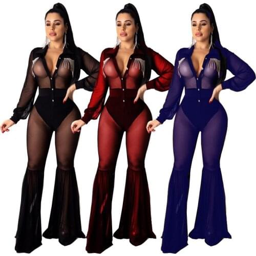 Transparent Jumpsuits Women Long Pants Sexy Female Long Sleeve Overall Body Suit See Through Bodycon Jumpsuit Plus Size