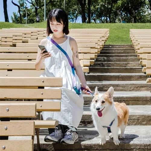 Hands Free Laeshes Adjustable Dog Leash Small Mid Large Dog Leads Multiple Ways To Use Strong and Sturdy Dog Accessories