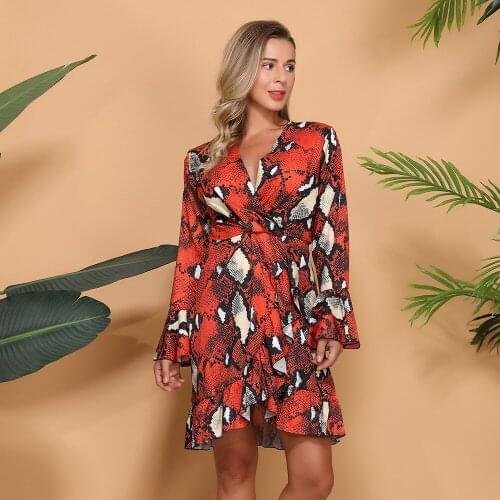In The Fall And Winter Of 2020 New Womens Dress Posed In EU & US Sets Big Yards Long Sleeve Skirt Serpentine Sexy Print Dress