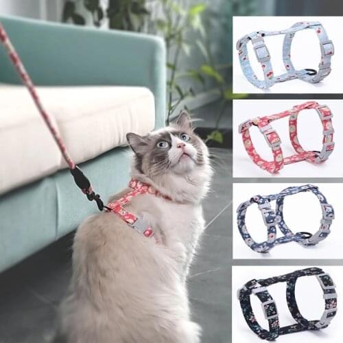 Cat Dog Collar Harness Leash traction rope chest strap pet safe gentle leader come with me kitty harness bungee drop shipping