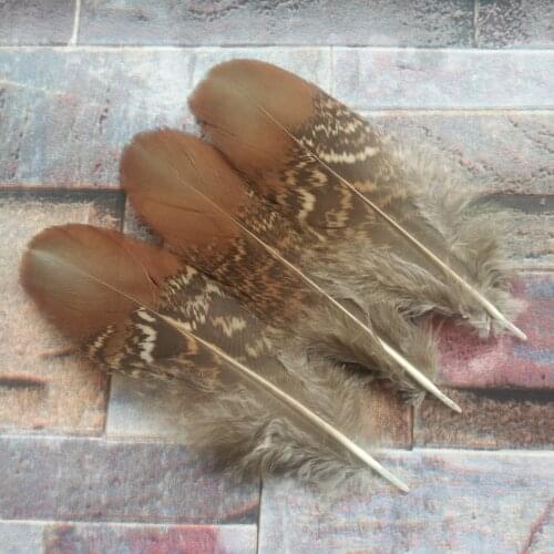 Hot 100pcs Beautiful 10-15 cm/4-6 inch Natural Pheasant Feather For Wedding Christmas Home Craft New Year