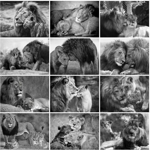 Animal 5D Diy Paint Black White Lion Diamond Painting Acessories Mosaic Cross Stitch Crafts for Adults Home Room Decor