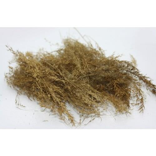 30g Diy handmade sand table building model material scene grass for architecture building kits toy