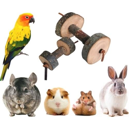 Cute Natural Wooden Rabbits Toys Pine Dumbells Unicycle Bell Roller Chew Toys for Guinea Pigs Rat Small Pet Molars Supplies