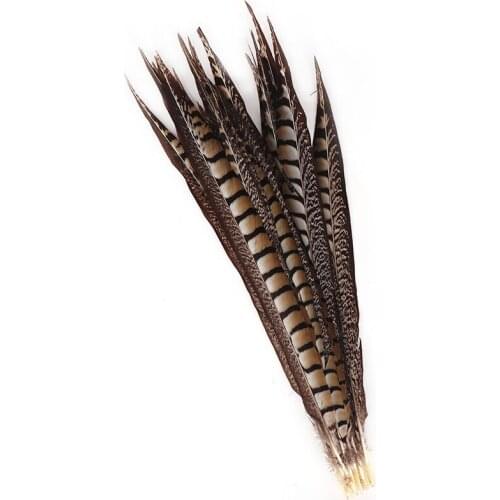 Natural Lady Amherst Pheasant tail Feathers for Crafts 16-18inch/40-45CM Plume Decoration Plumas Carnaval Long Feather Decor