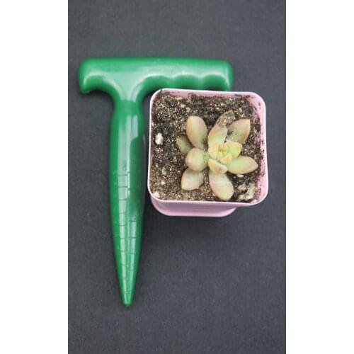 2019 New Farm Gardening Machine Tool Bonsai Hand Succulent Plants Planter Digger Tool Puncher Cutting Seedling With Scale BZQ-02
