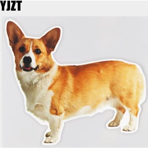 YJZT 16.4×14.6CM Cute Corgi Animal Dog Fun Body Decoration Stickers Creative Car Accessories 21A-0514