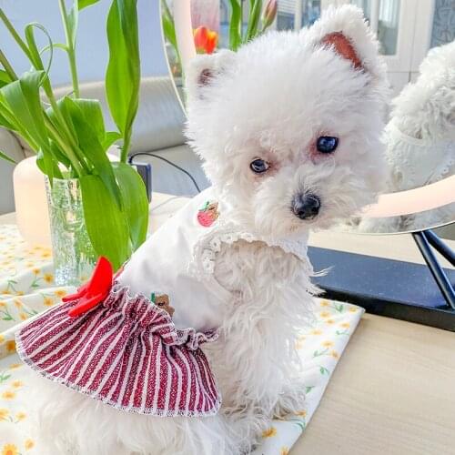 PETCIRCLE Pet Dress French Bulldog Corgi Small and Medium Dog Clothes Pugs Fat Dog Cute T-Shirt