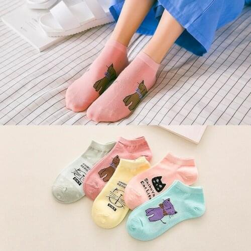 5 Pairs New Women Spring Summer Cotton Ankle Socks Cute Cat Candy Colors Funny Socks Casual Animal Cartoon Socks For Girls