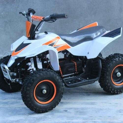 Small Arctic 36v500w