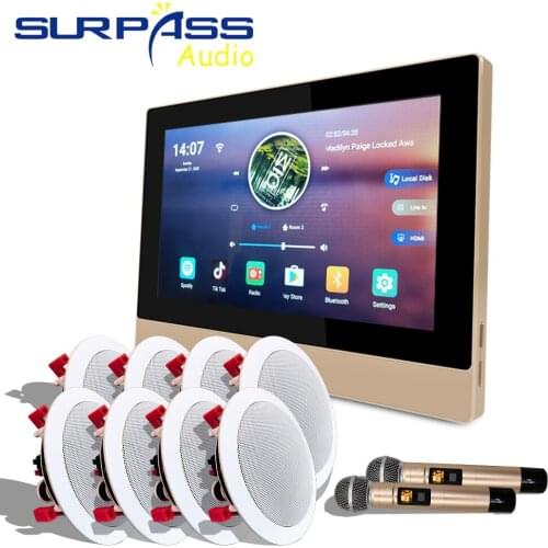 Smart Android Bluetooth WiFi In Wall Amplifier Audio PA Ceiling Speaker Wireless Microphone Home Karaoke Background Music Combos