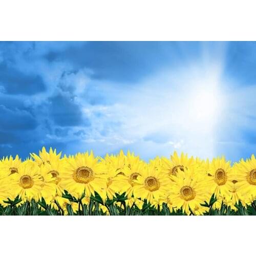 Baby shower decor photo background vinyl yellow sunflower photography backdrops for photography studio props fotografia lv-1623