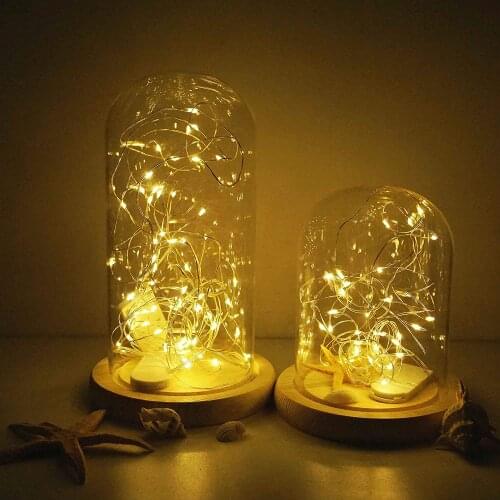 LED String Lights With Transparent Wire FDOI China