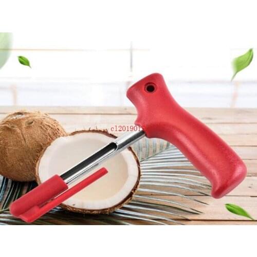 200pcs/lot Free Shipping Wholesale Stainless steel Coconut Opener tool Young Coconut punch coconut knife drill
