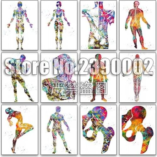 Watercolour 5d Diy Diamond Painting Cross Stitch Diamond Embroidery Male muscular System Full Mosaic Gifts Handmade Craft Decor