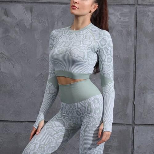 Serpentine Two Piece Sets Tracksuit Women Seamless Leggings Tights Workout Clothes Elasticity Training Fitness Suit Active Wear